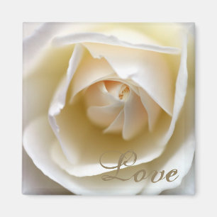 White Rose - Love Magnet