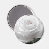White Rose Magneet (Voorkant / Achterkant)