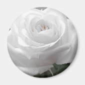 White Rose Magneet (Voorkant)