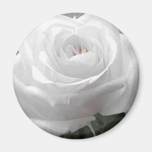 White Rose Magneet (Voorkant)