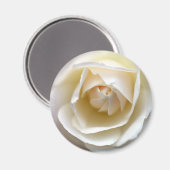 White Rose Magneet (Voorkant / Achterkant)