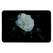 White Rose Magneet (Horizontaal)