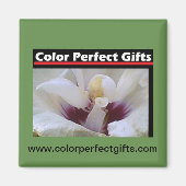 White Rose Magneet (Voorkant)