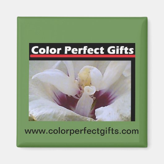 White Rose Magneet (Voorkant)