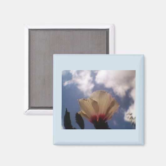 White Rose Magneet (Voorkant / Achterkant)