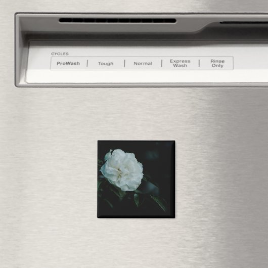 White Rose Magneet (Insitu (Vaatwasser))