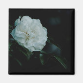 White Rose Magneet (Voorkant)