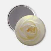 White Rose Magnet Flower Gifts Keepomwille Decor (Voorkant / Achterkant)