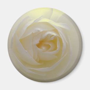 White Rose Magnet Flower Gifts Keepomwille Decor