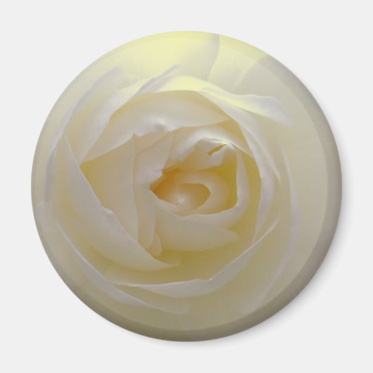 White Rose Magnet Flower Gifts Keepomwille Decor (Voorkant)