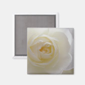 White Rose Magnet Flower Gifts Keepomwille Decor (Voorkant / Achterkant)