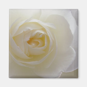 White Rose Magnet Flower Gifts Keepomwille Decor