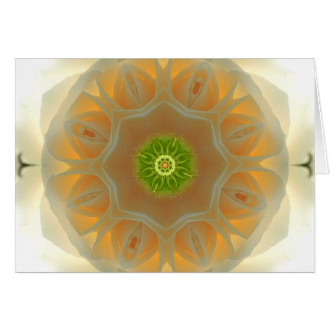 White Rose Mandala (Voorkant Horizontaal)