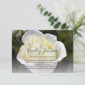 White Rose Memorial Begrafenis Dank u kaart (Staand voorkant)