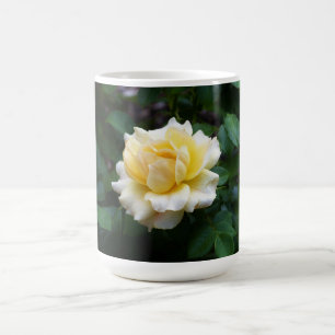 White Rose Mok