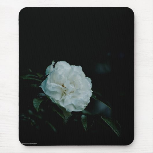 White Rose Muismat (Voorkant)