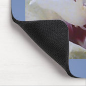 White Rose Muismat (Hoek)