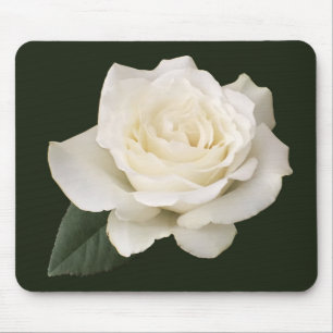 White Rose Muismat