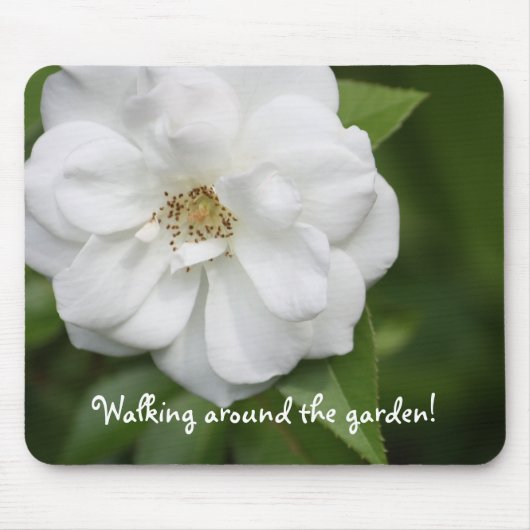 White Rose Muismat (Voorkant)