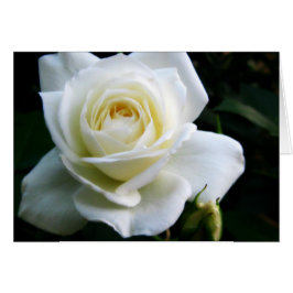White Rose Note Kaart