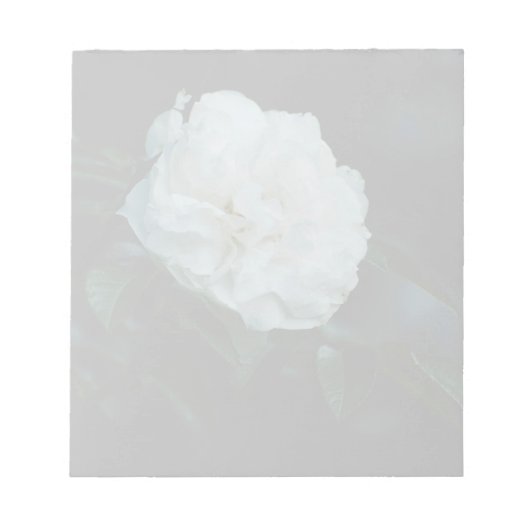 White Rose Notitieblok (Voorkant)