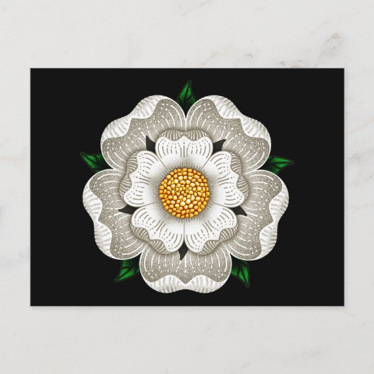 White Rose of York Briefkaart (Voorkant)