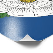 White Rose of York Foto Afdruk (Hoek)