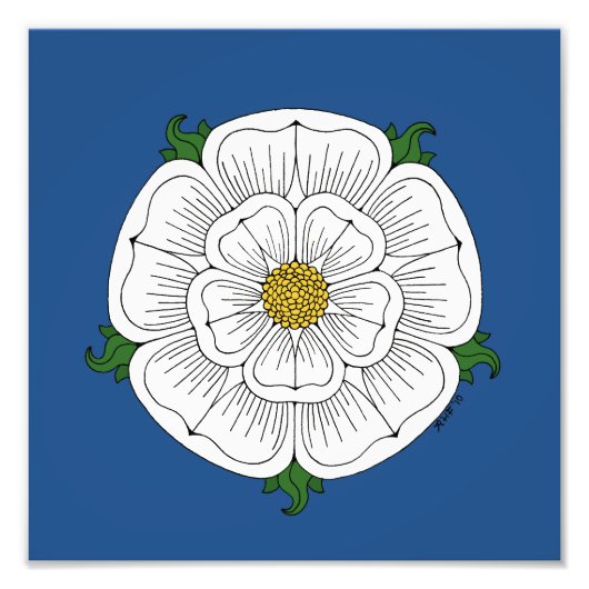 White Rose of York Foto Afdruk (Voorkant)