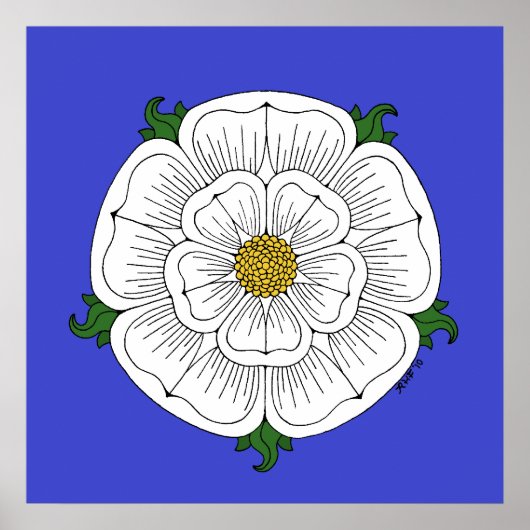 White Rose of York Poster (Voorkant)