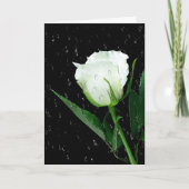 White Rose on Black met regendruppels Kaart (Voorkant)