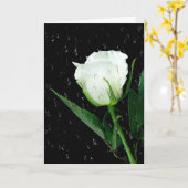 White Rose on Black met regendruppels Kaart (Gele Bloem)