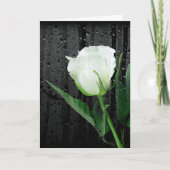 White Rose on Black met regendruppels Kaart (Voorkant)