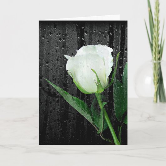 White Rose on Black met regendruppels Kaart (Voorkant)