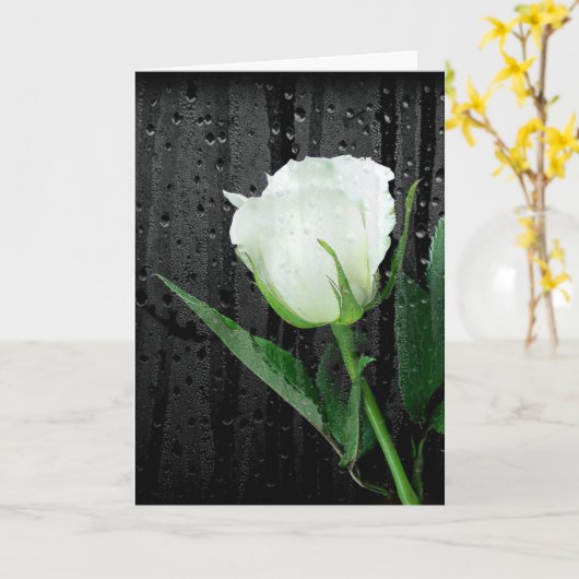 White Rose on Black met regendruppels Kaart (Gele Bloem)