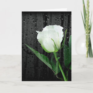 White Rose on Black met regendruppels Kaart
