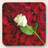 White Rose on Red Petals Bier Onderzetter (Voorkant)
