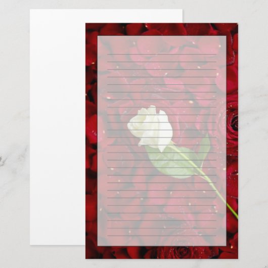 White Rose on Red Petals Briefpapier (Voorkant / Achterkant)