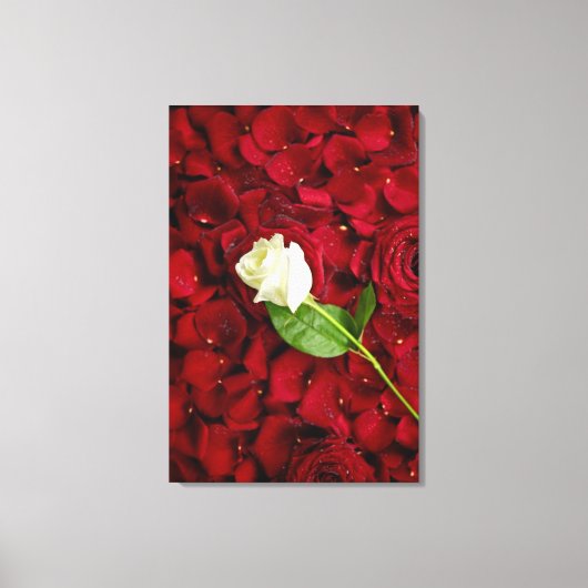 White Rose on Red Petals Canvas Afdruk (Voorkant)