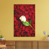 White Rose on Red Petals Canvas Afdruk (Insitu (Woonkamer))