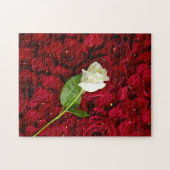 White Rose on Red Petals Legpuzzel (Horizontaal)