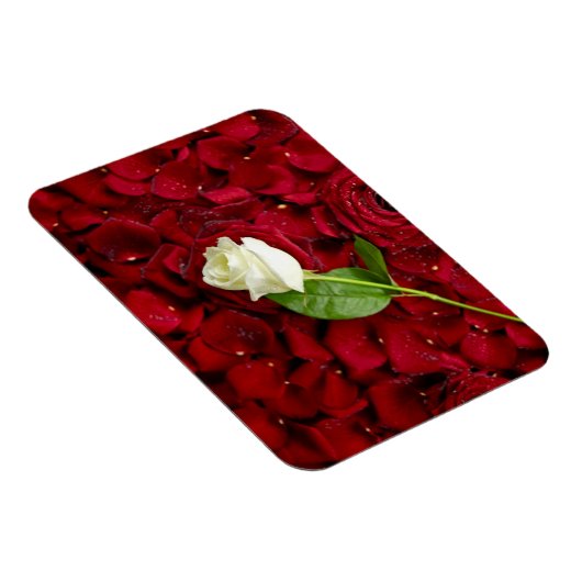 White Rose on Red Petals Magneet (Rechterzijde)