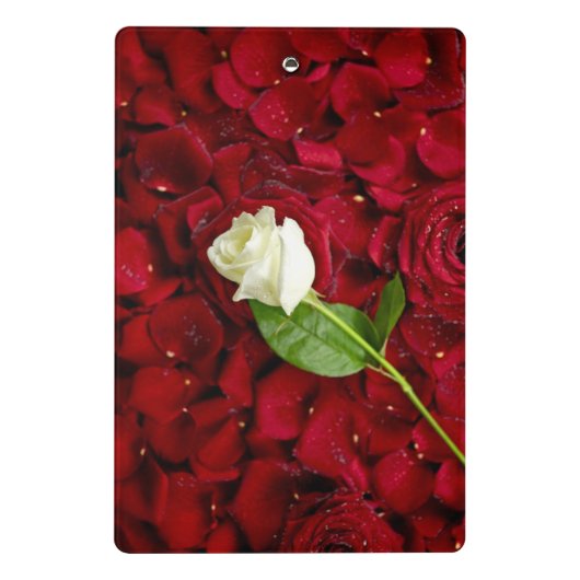 White Rose on Red Petals Mini Klembord (Achterkant)