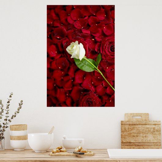 White Rose on Red Petals Poster (Keuken)