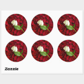 White Rose on Red Petals Ronde Sticker (Vel)