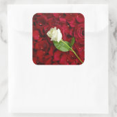 White Rose on Red Petals Vierkante Sticker (Tas)