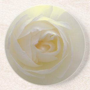 White Rose Onderzetters Beauful Roos Gifts Decor