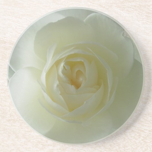 White Rose Onderzetters Sunny Roos Gifts Keepslag  (Voorkant)
