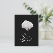 White Rose op zwarte achtergrond Briefkaart (Staand voorkant)