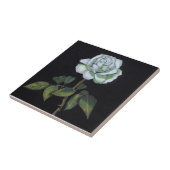 White Rose op zwarte achtergrond: Kleurpotlood Tegeltje (Zijkant)