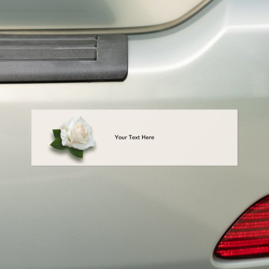 White Rose "Pascali" Bumpersticker (Op auto)
